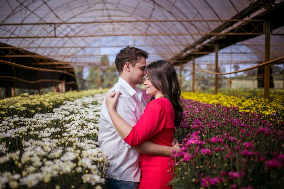 Pré Wedding Dailton e Débora Campos de Flores Holambra-SP